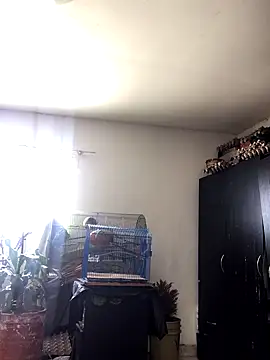 Snapshot of Miss_oliviaa chatting on October 2025 02:06:02 PM Miss oliviaa online show from October 2025 02:06:02 PM