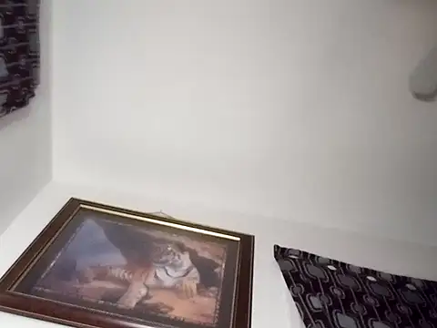 gemini12838 online show from January 2025 02:39:02 AM