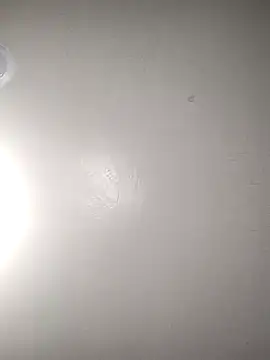 TickleMeKink online show from October 2025 08:59:02 AM