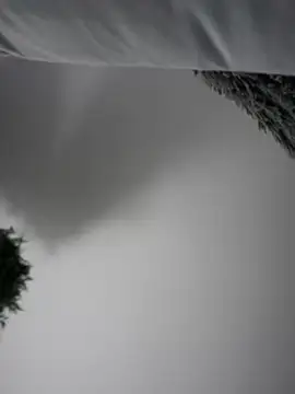 Aryrosee online show from January 2025 03:49:02 AM