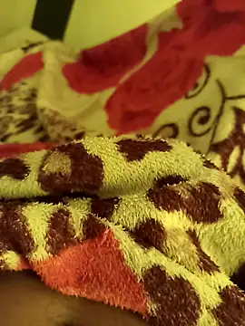 bengala223 online show from February 2026 10:55:02 AM