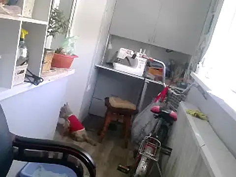 Snapshot of TanyaSweet634 chatting on February 2025 10:40:02 AM TanyaSweet634 online show from February 2025 10:40:02 AM