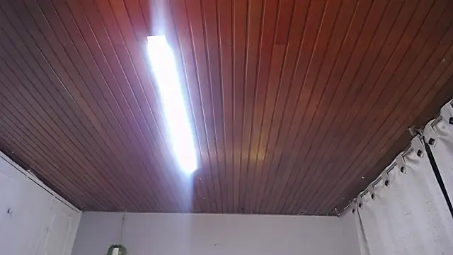 Scarllett BDSM online show from November 2025 05:10:01 AM