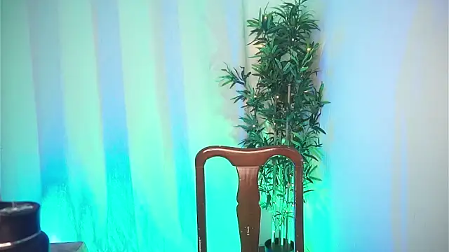 dam0n fr0st online show from February 2026 08:47:01 PM