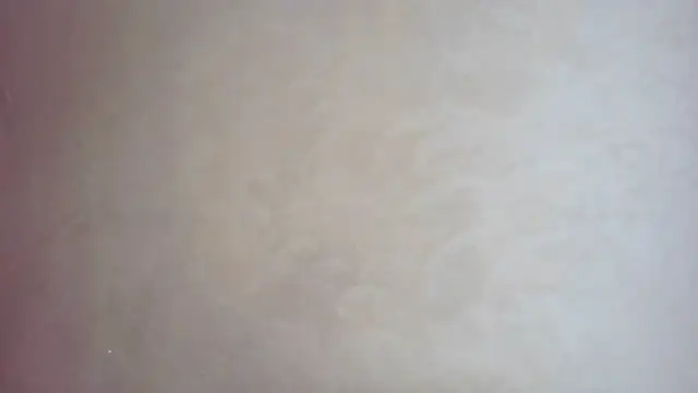 CaitlinaJayne23 online show from September 2025 05:42:01 AM