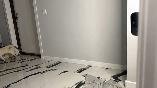 elisa moon online show from December 2024 05:06:01 AM