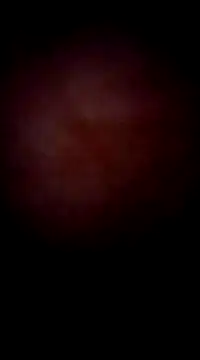 garchapatagonica online show from December 2024 04:44:02 AM