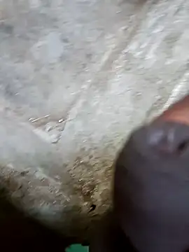 Snapshot of jellydicks chatting on December 2024 11:18:01 AM jellydicks online show from December 2024 11:18:01 AM