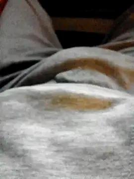 Ntinoslrs online show from January 2025 02:41:01 PM