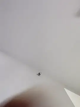 Tamilrojanew online show from January 2026 04:28:01 AM