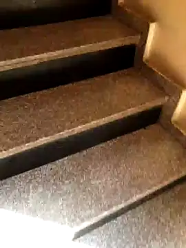 nouramaroc online show from February 2025 12:57:02 PM