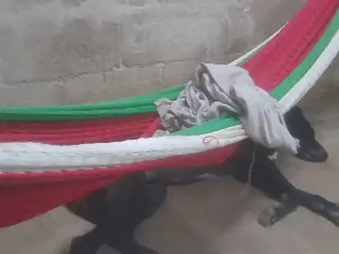 tripexnte online show from February 2025 11:26:02 PM