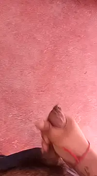 pedritolobito online show from January 2025 01:41:02 PM