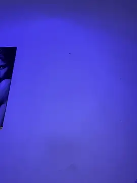  Chartlotte online show from February 2025 12:19:01 AM