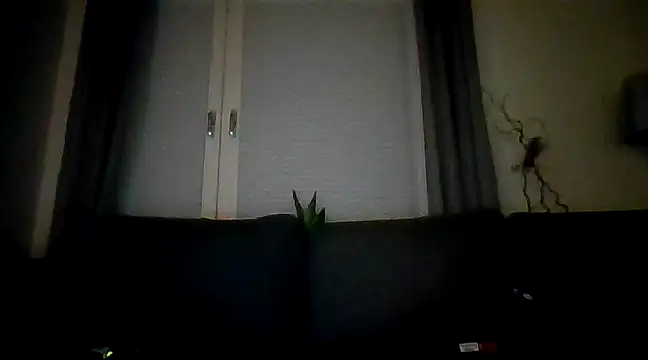 Sebuleczek online show from December 2024 01:29:02 AM