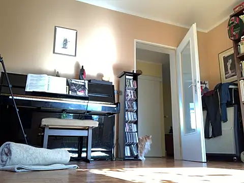 Bula94193 online show from September 2025 09:45:02 AM