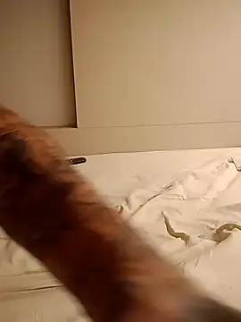 rolesexy online show from January 2025 02:47:01 AM