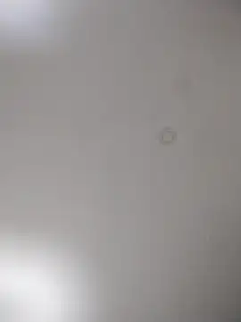 geilerschwanz64 online show from October 2025 09:59:01 PM