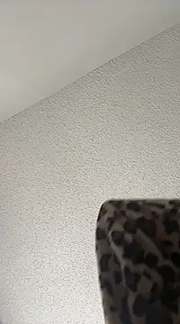 torilux online show from February 2025 02:52:01 PM