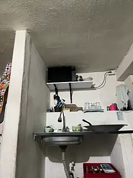 siri duque online show from April 2026 10:29:01 AM