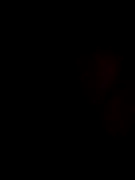 stevenp online show from November 2025 07:22:01 AM