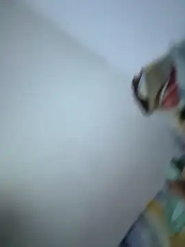 SweetBonniie online show from November 2025 12:02:01 AM