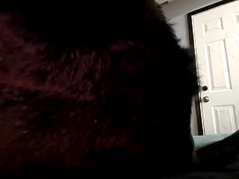 DevinToore online show from October 2025 03:31:01 AM