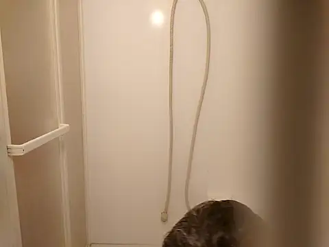 53kkkkkk online show from March 2026 02:22:02 PM