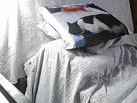 Snapshot of VeneRed chatting on June 2026 10:15:01 AM VeneRed online show from June 2026 10:15:01 AM