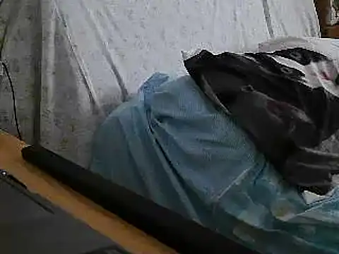 Snapshot of VeneRed chatting on July 2026 12:01:01 PM VeneRed online show from July 2026 12:01:01 PM