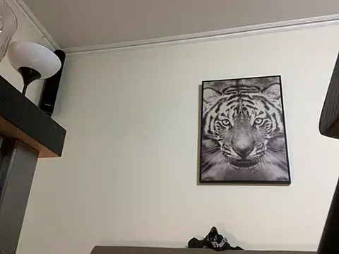 mesetti online show from February 2025 08:05:01 PM