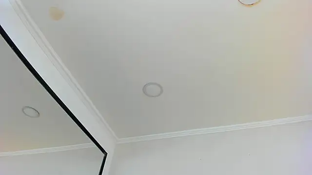 Snapshot of Loggan_donnelly chatting on March 2025 10:55:02 PM Loggan donnelly online show from March 2025 10:55:02 PM