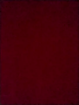 Snapshot of Luci_foxx chatting on October 2025 03:59:02 AM Luci foxx online show from October 2025 03:59:02 AM