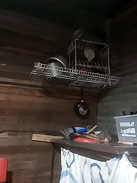 tayson  online show from March 2026 08:14:02 AM