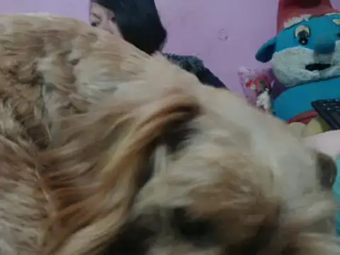 Cheliafun online show from October 2025 02:13:02 PM