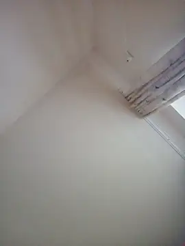 Virgin Pussy Love online show from February 2025 03:00:01 PM