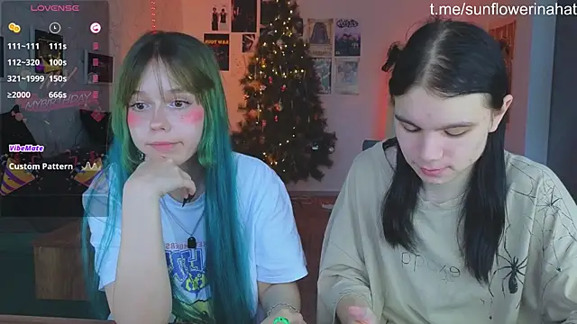 Snapshot of 812sunflowerinahat chatting on December 2024 09:03:01 AM 812sunflowerinahat online show from December 2024 09:03:01 AM