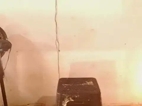 Snapshot of DiablaArdiente05 chatting on April 2026 02:43:02 PM DiablaArdiente05 online show from April 2026 02:43:02 PM