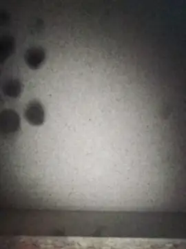 Leocesar37 online show from September 2025 07:19:01 AM