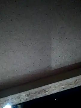 Leocesar37 online show from November 2025 04:54:02 AM