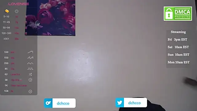 dchcco online show from November 2025 08:09:02 PM