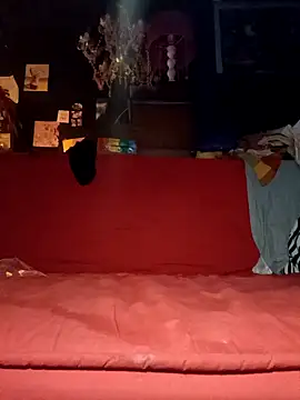 Snapshot of justiacoob chatting on November 2025 06:35:01 AM justiacoob online show from November 2025 06:35:01 AM