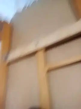 PequeArely online show from December 2024 02:54:02 PM