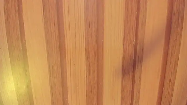 Taylor  cooper online show from November 2025 06:37:02 PM