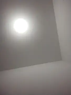 Snapshot of barboza991 chatting on December 2024 11:48:01 PM barboza991 online show from December 2024 11:48:01 PM