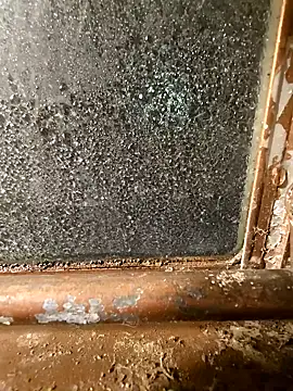 alienbunny online show from January 2025 05:52:01 AM