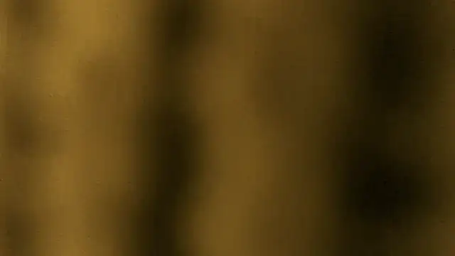 Lina lolo online show from March 2026 11:55:01 PM