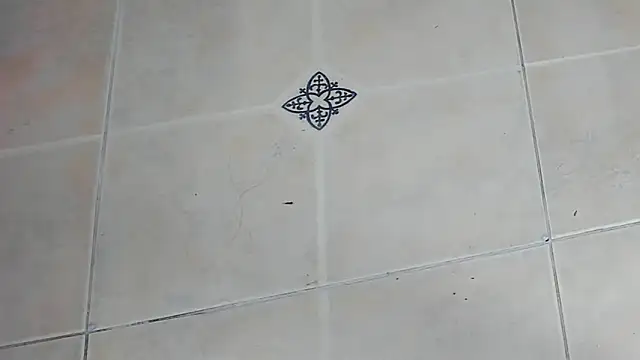 playsgirlhot online show from February 2026 11:15:01 AM