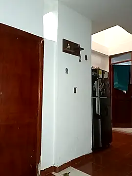 Dyr08 online show from February 2025 08:29:02 PM