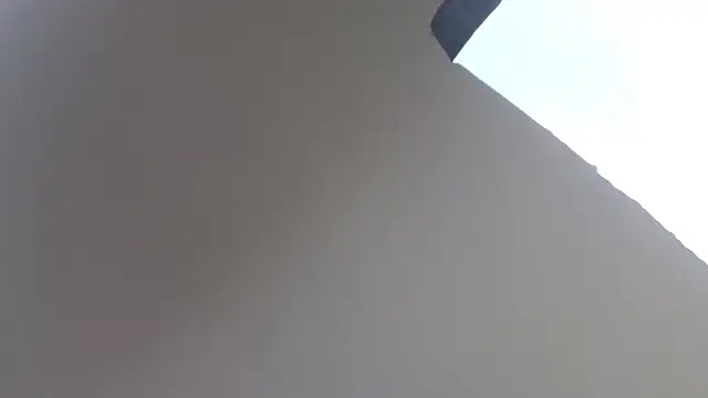 Snapshot of Nika_Kitten chatting on March 2025 06:49:02 AM Nika Kitten online show from March 2025 06:49:02 AM